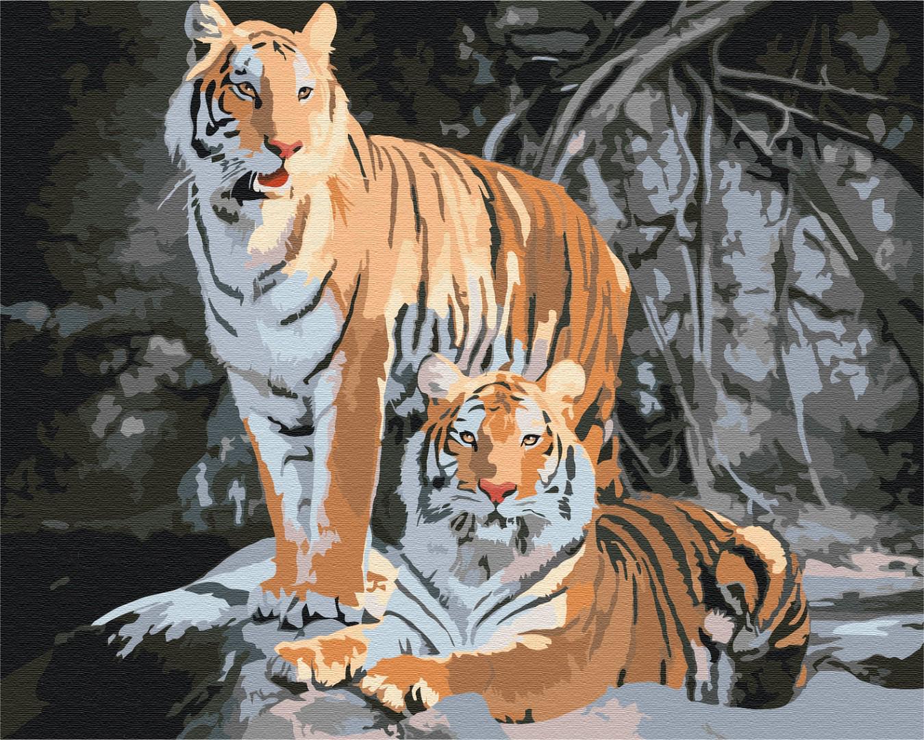 Картина по номерам Brushme Дикие тигры 40x50 см (BS52793)