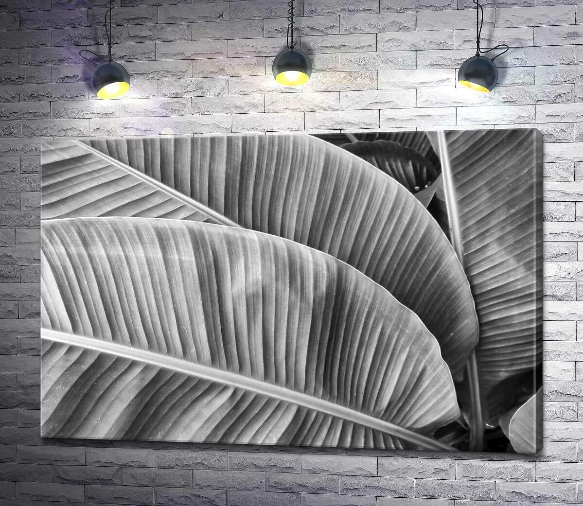 Картина ArtPoster Черно-белые оттенки пальмовых листьев 50x33 см Модуль №1 (001276)