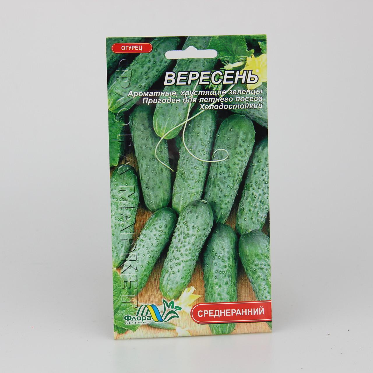 Насіння огірка Вересень середньоранній 1 г (26304) Насіння огірка Вересень середньоранній 1 г (26304)
