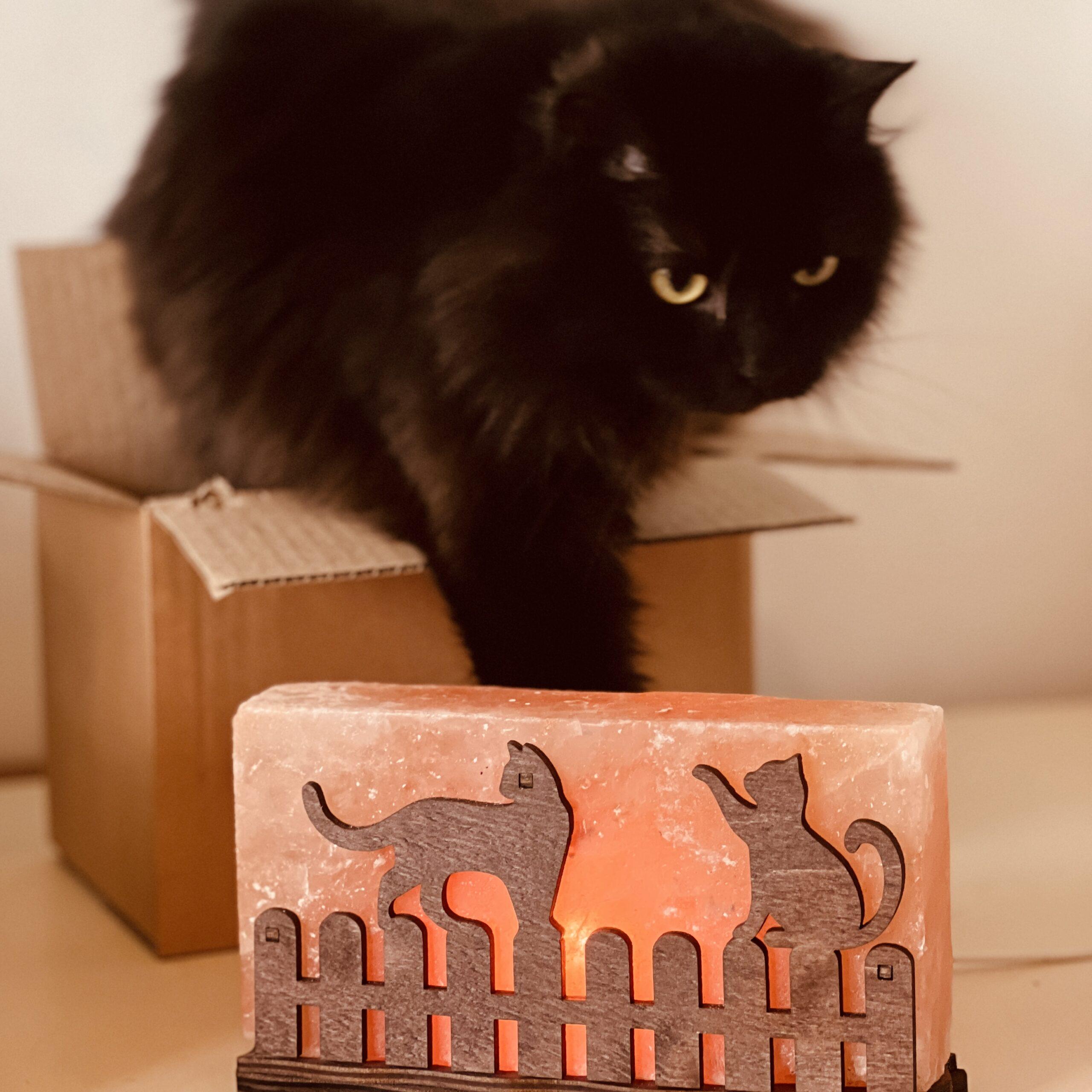 Соляна лампа декоративна Himalayan Коти на паркані 1 кг (29909030) - фото 10