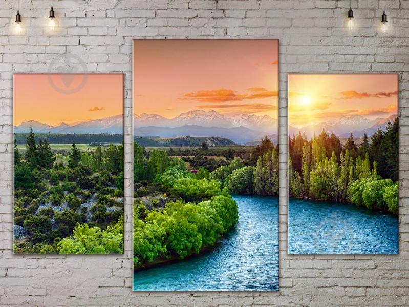 Модульная картина ArtStar ADNA0100 размер 70 х 105 см