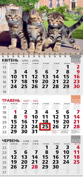 Календарь квартальный офисный 3 Котята на природе