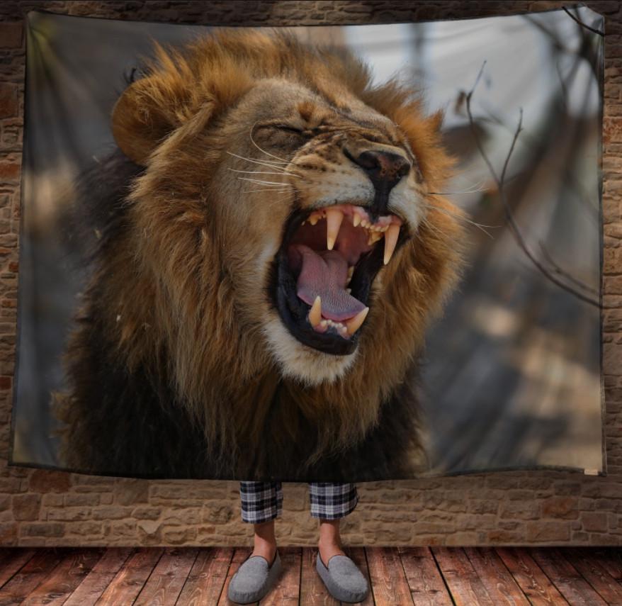 Плед з 3D принтом 1233 150х200 см (epi_1594) Плед з 3D принтом 1233 150х200 см (epi_1594)