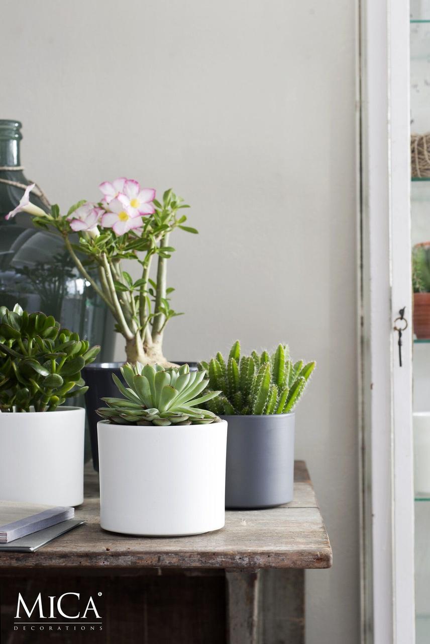 Кашпо Edelman Mica Decorations Era 23 см Песочный/Светло-серый (A-014203) - фото 6 Кашпо Edelman Mica Decorations Era 23 см Песочный/Светло-серый (A-014203) - фото 6