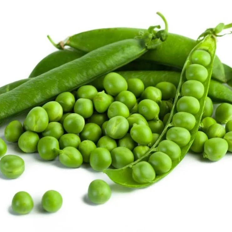 Семена Горох Овочевої Грунді ТД Гекса-Україна 01-03-020 100000 шт. (IR02126)