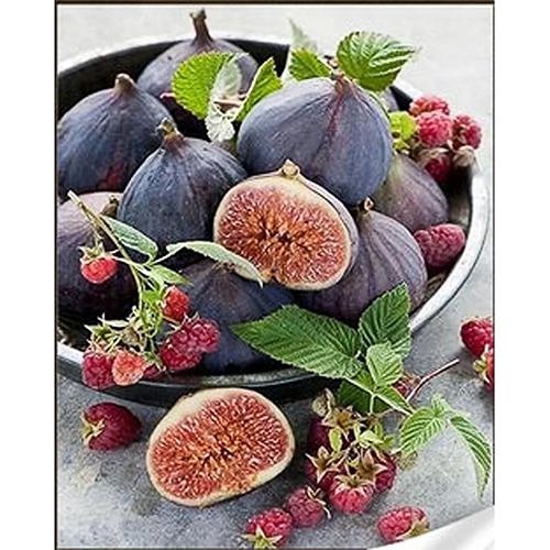 Алмазная мозаика Strateg Премиум Инжир с малиной 30x40 см (Str-HEG86908)