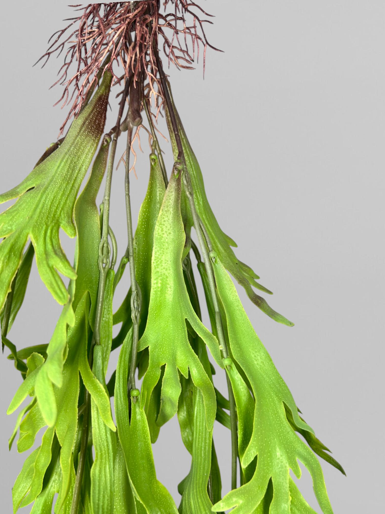 Искусственный папоротник платицериум 110 см Светло-зеленый (Р01039) - фото 4 Искусственный папоротник платицериум 110 см Светло-зеленый (Р01039) - фото 4