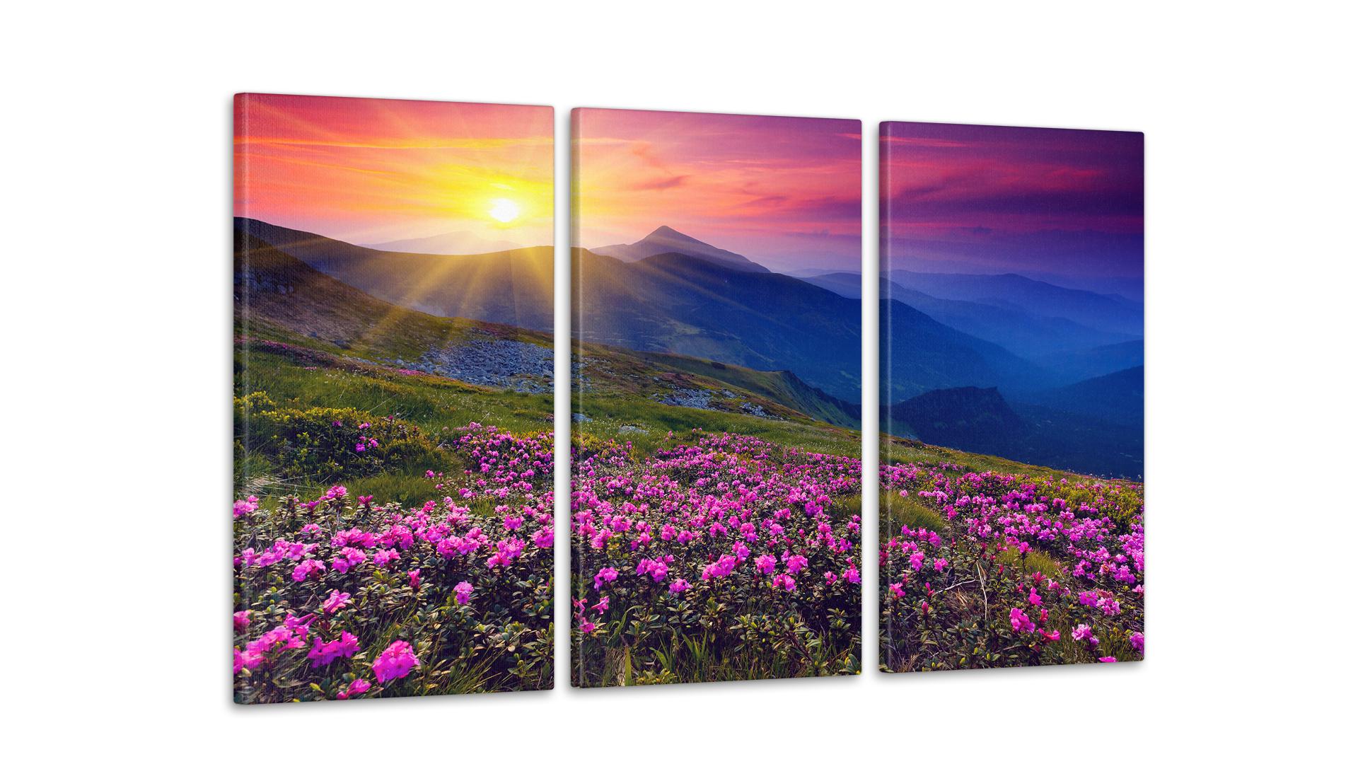 Модульная картина Природа Гори 53x100 см (Art-62_3А)