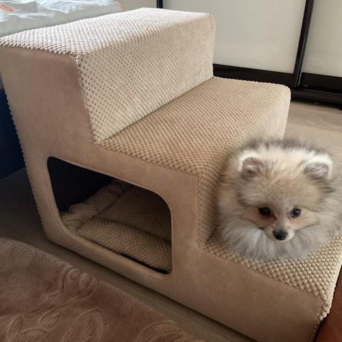 Сходинки приліжкові для собачок з входом 55х42х42 см Бежевий (00111) - фото 2 Сходинки приліжкові для собачок з входом 55х42х42 см Бежевий (00111) - фото 2