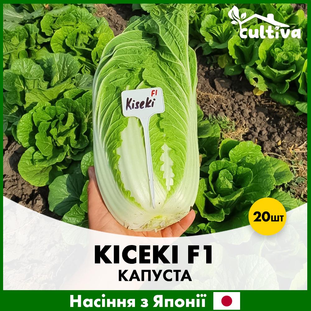Семена пекинской капусты Sakata Кисеки F1 20 шт. (R51089)