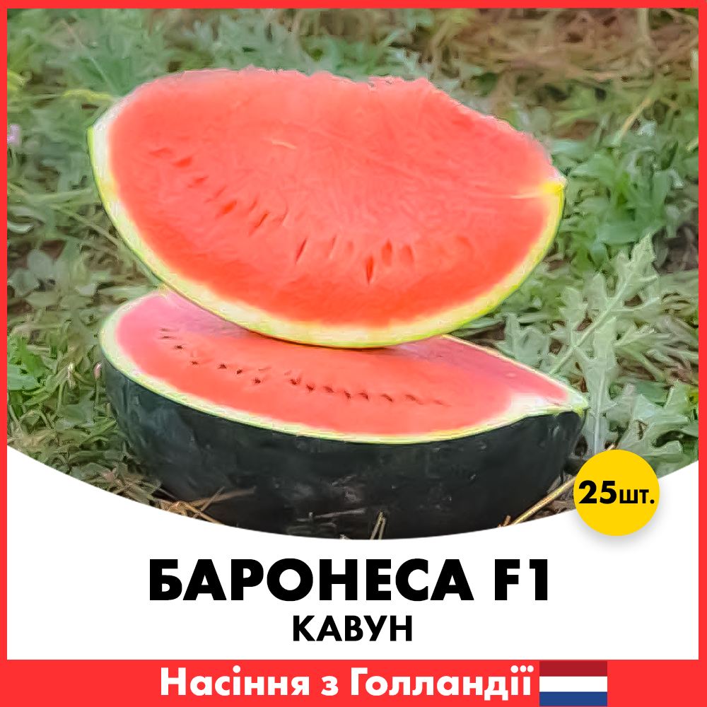 Насіння кавуну Rijk Zwaan Баронеса F1 25 шт. (klg1-25)