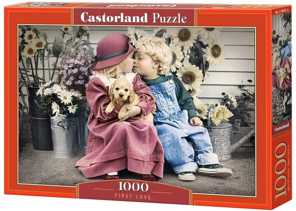 Пазл Castorland Первая любовь 1000 дет.