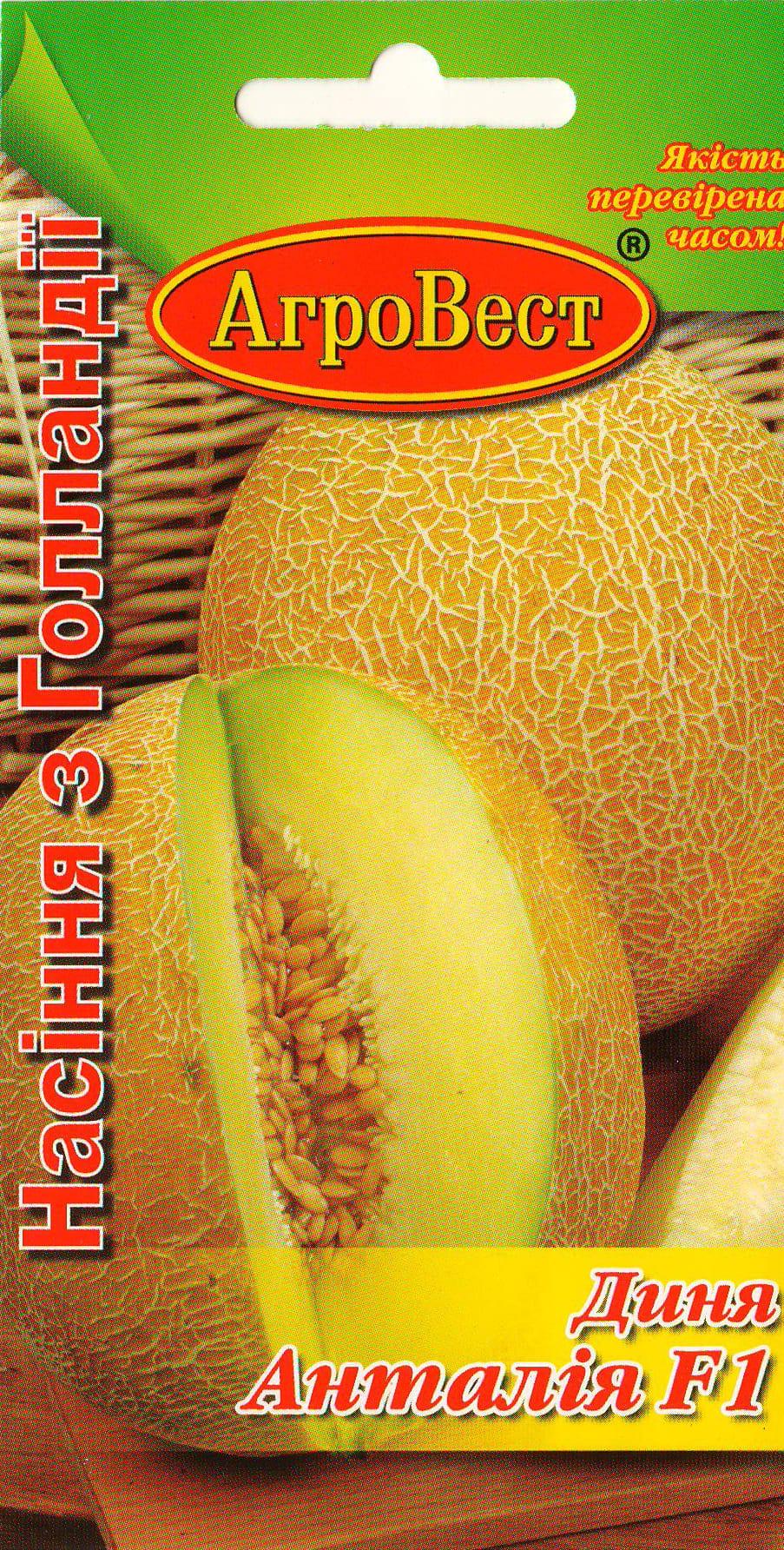 Насіння АгроВест диня Анталія F1 10 шт. (19107)