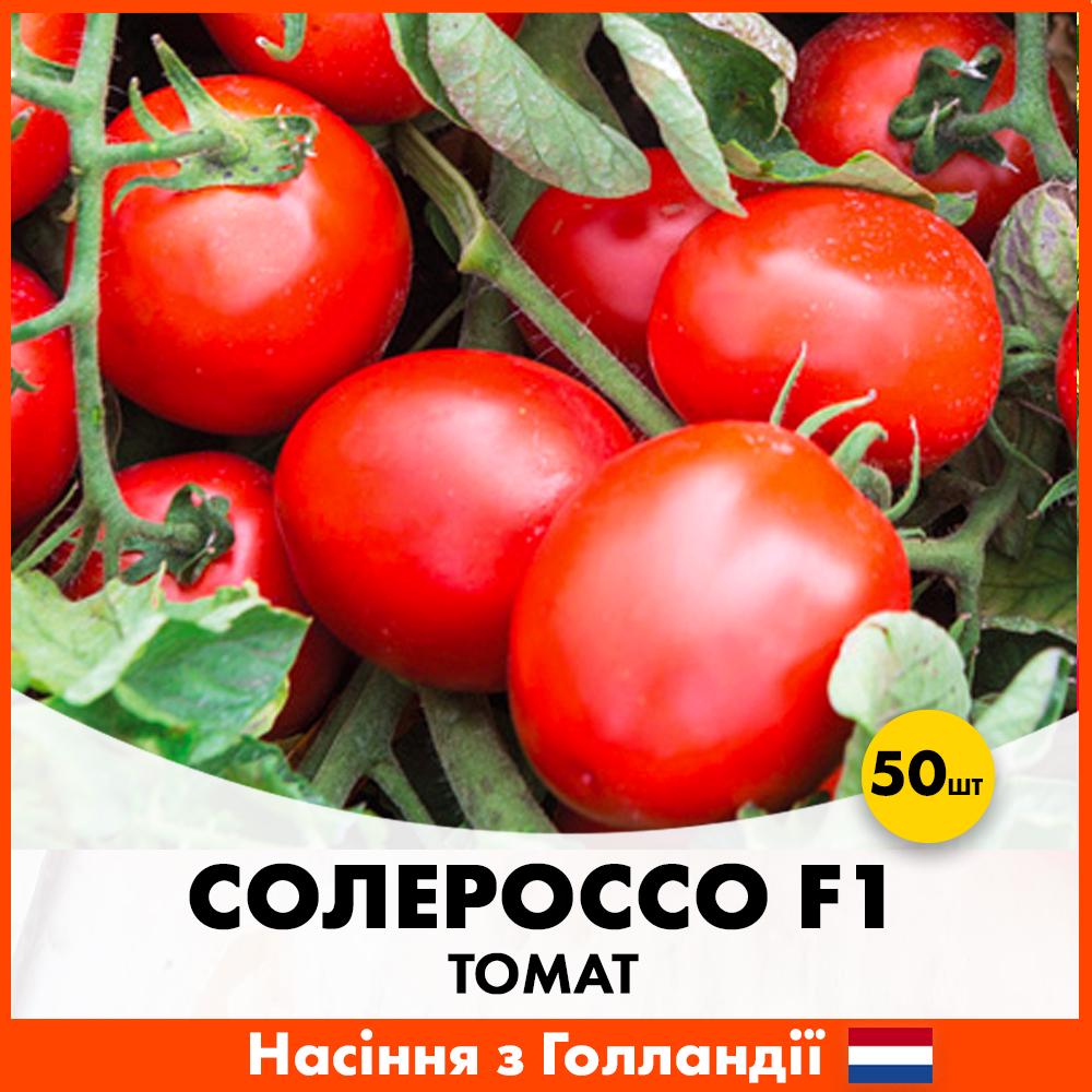 Семена томата Nunhems Солероссо F1 50 шт. (T950)