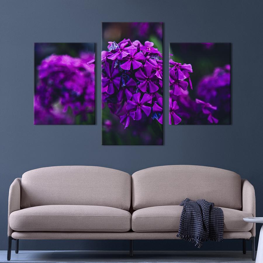 Картина на холсте триптих Ароматные цветы флоксы 141x90 см (897-32)