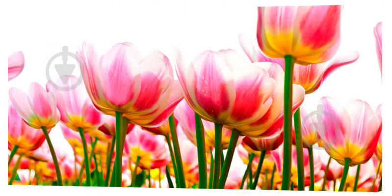 Картина на холсте Декор Карпаты Цветы 50х100 см (c751)