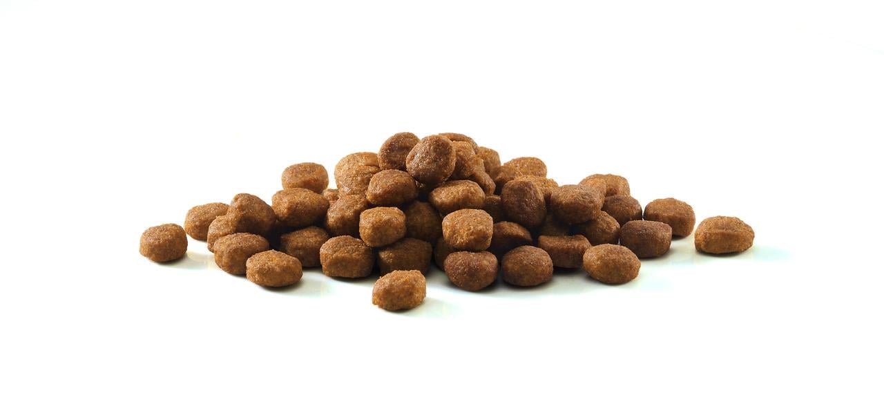 Сухий корм Purina One Indoor для дорослих котів комплекс Bifensis індичка 800 г (7613035468047) - фото 6 Сухий корм Purina One Indoor для дорослих котів комплекс Bifensis індичка 800 г (7613035468047) - фото 6