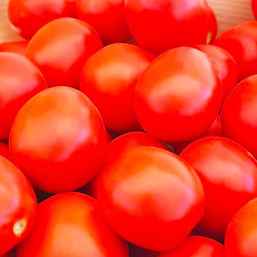 Насіння Томат Florium Баста F1 (15918)