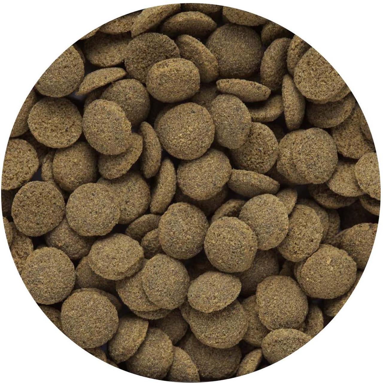 Корм Hikari Tropical Sinking Wafers для аквариумных всеядных сомиков длиной 3+ см/таблетки 5 мм/25 г тонущий (21503) - фото 2 Корм Hikari Tropical Sinking Wafers для аквариумных всеядных сомиков длиной 3+ см/таблетки 5 мм/25 г тонущий (21503) - фото 2