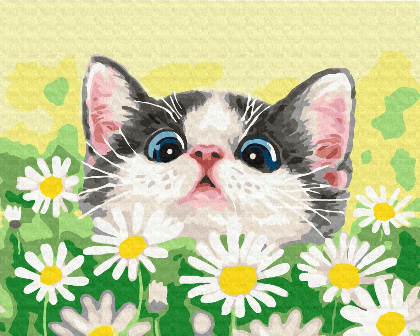 Картина по номерам Brushme Кот в ромашках 48x60 см (BS51569L)