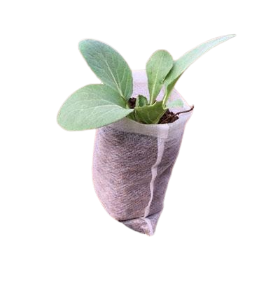 Пеленки для рассады 8х10 см 100 шт. (2178)