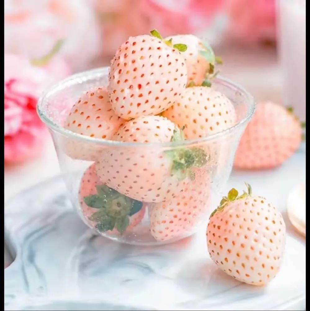 Насіння кімнатної ремонтантної кремово-білої полуниці сорту Datian Sweet Ананасна 100 шт. - фото 2