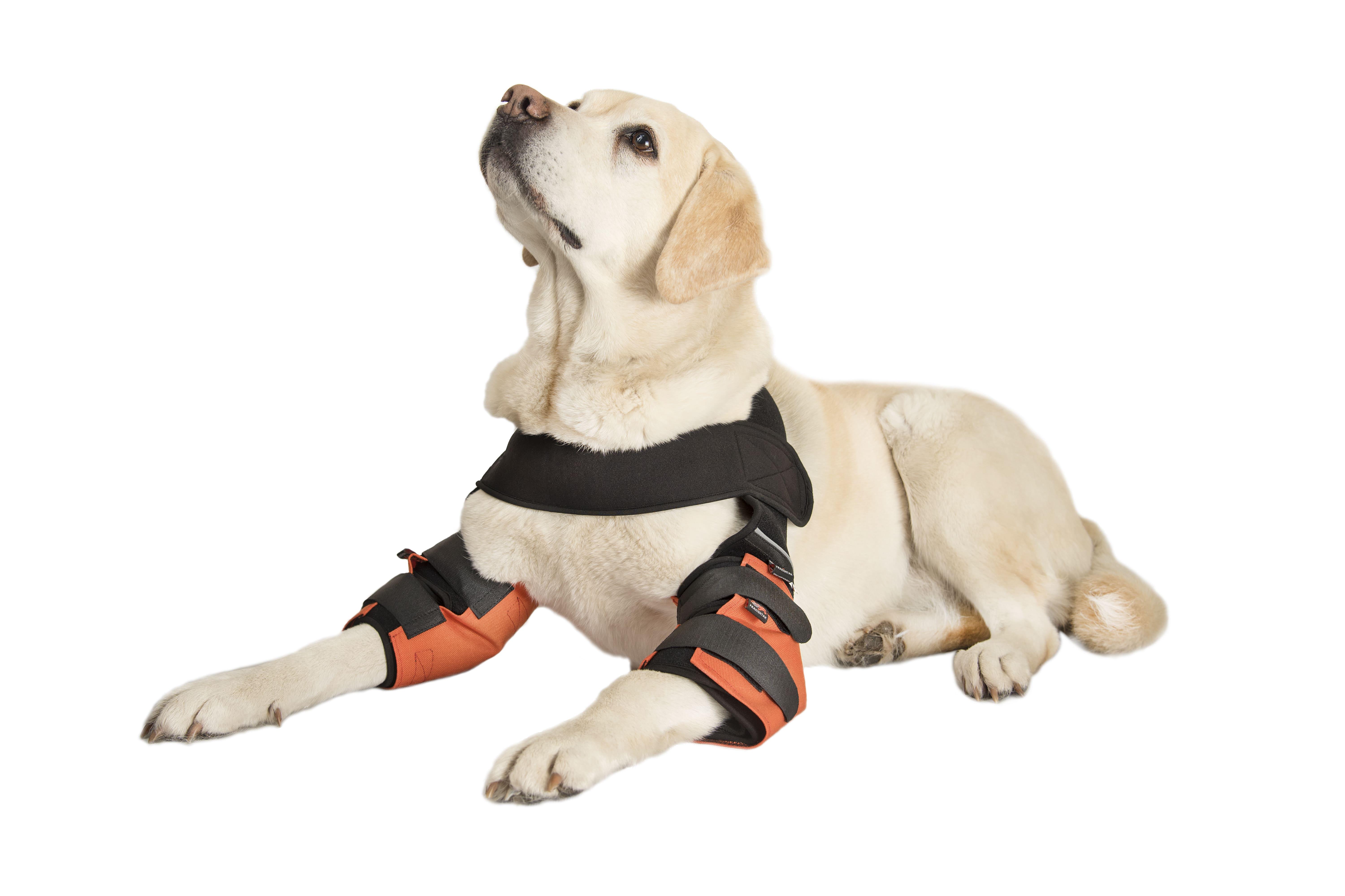 Налокотники для собак Frakishtak М Красный (28338094)