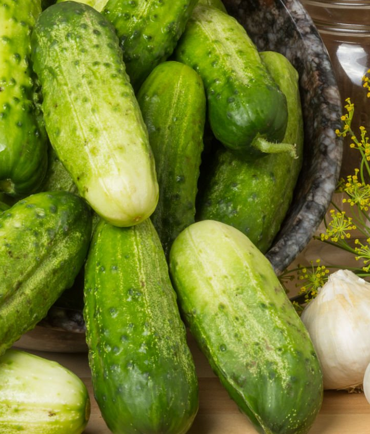 Семена Огурец GL Seeds М. засолочный 0,5 г (675)