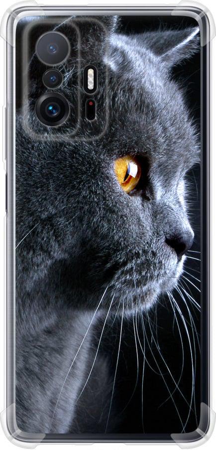 Чехол на Xiaomi 11T Pro Красивый кот (3038sp-2552-42517)