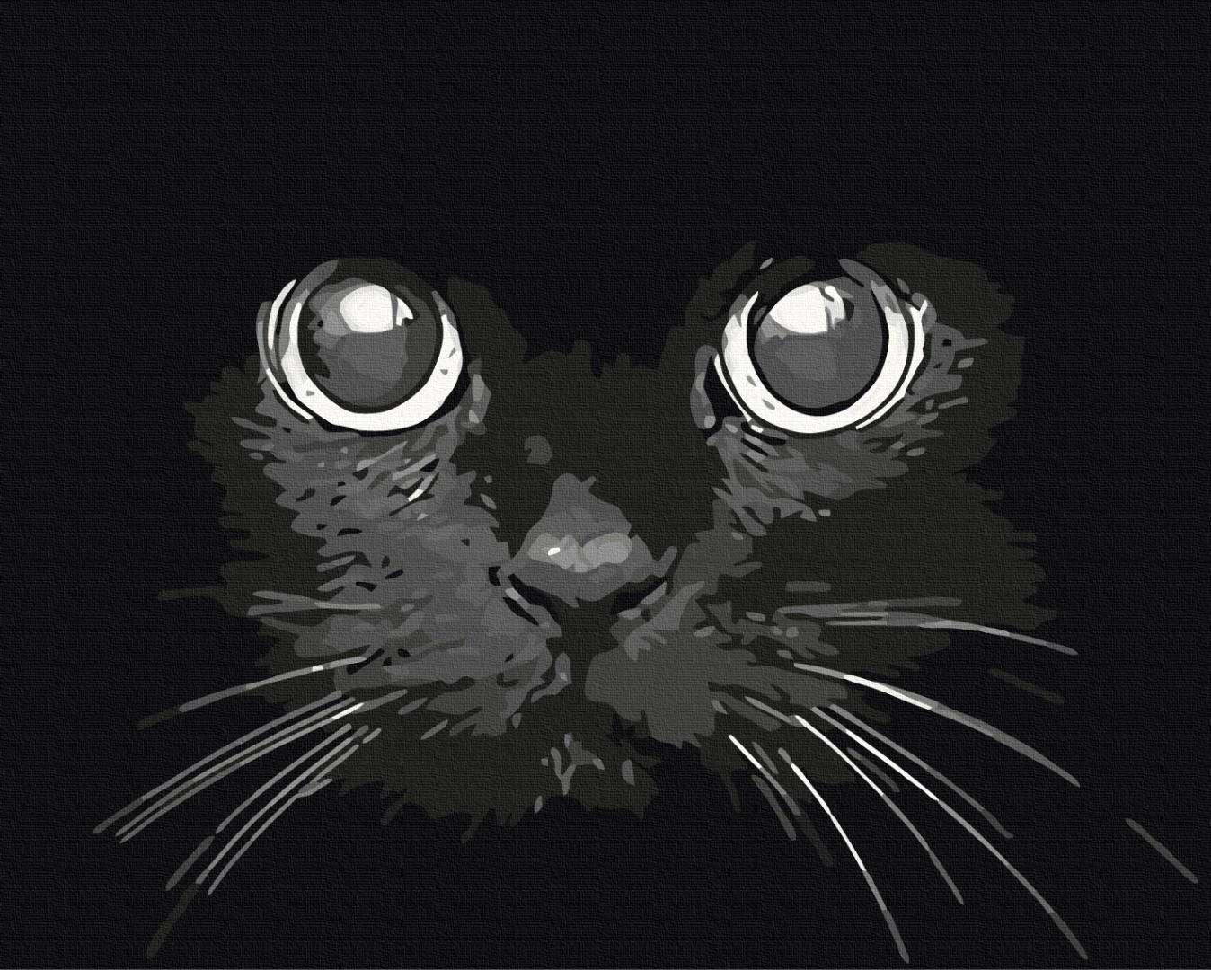 Картина по номерам Brushme Взгляд ночи 48x60 см (BS52234L)