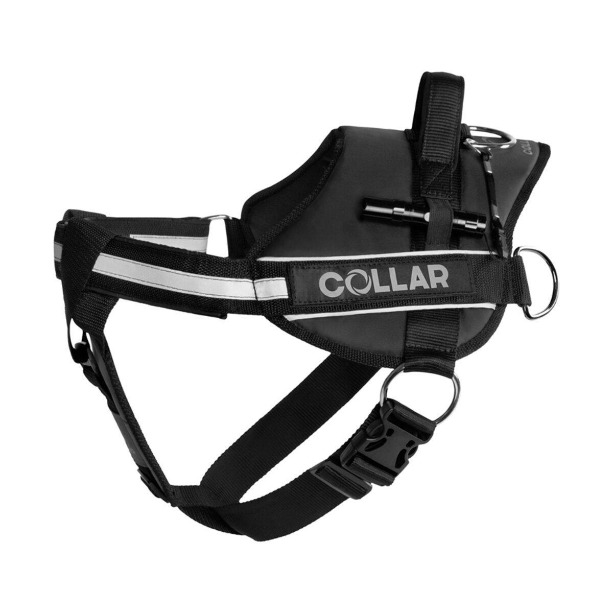 Шлея Dog Extreme №4 с фонариком 70-100 см Черный (07071 Col) Шлея Dog Extreme №4 с фонариком 70-100 см Черный (07071 Col)