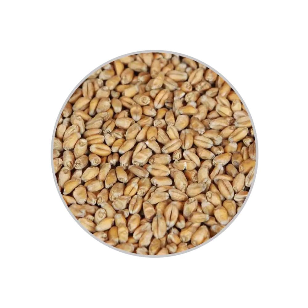 Солод Wheat пшеничный 1 кг