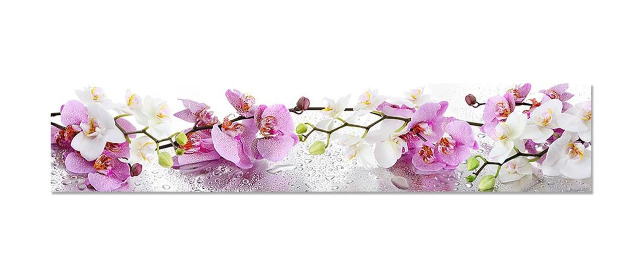 Наклейка виниловая на кухню Zatarga Пышные Орхидеи 600х3000 мм (1271805842)