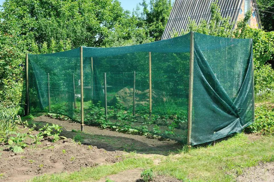 Сетка затеняющая Клевер 80% 1,5х5 м (851) - фото 14 Сетка затеняющая Клевер 80% 1,5х5 м (851) - фото 14