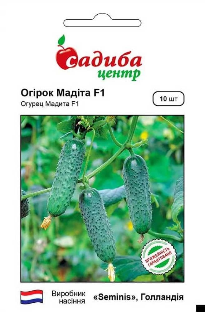 Огурец Мадита F1, 10 шт., СЦ Огурец Мадита F1, 10 шт., СЦ