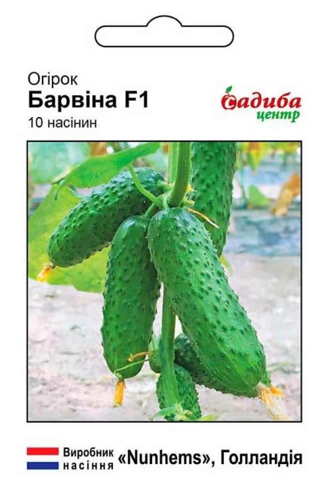 Огурец Барвина F1, 10 шт., СЦ