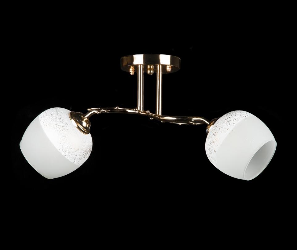 Люстра с плафонами Splendid Ray (L9653A/2 FGD)