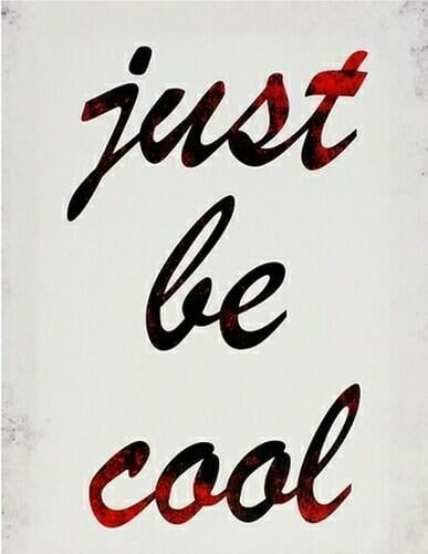 Репродукция Just be cool Seta Decor 1448