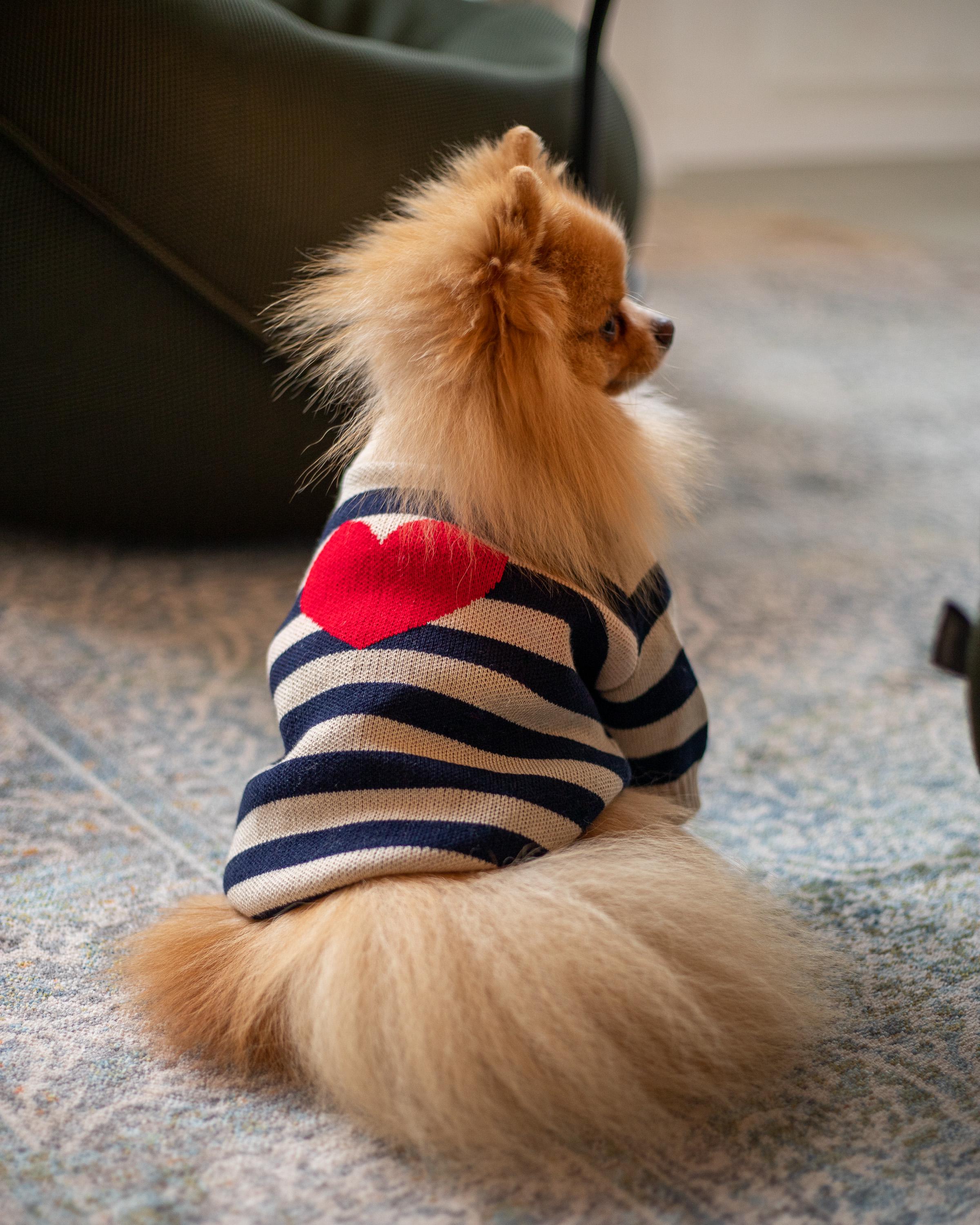 Свитер для собак вязаный полосатый Сердце Y-250 р. 2 (70579154)