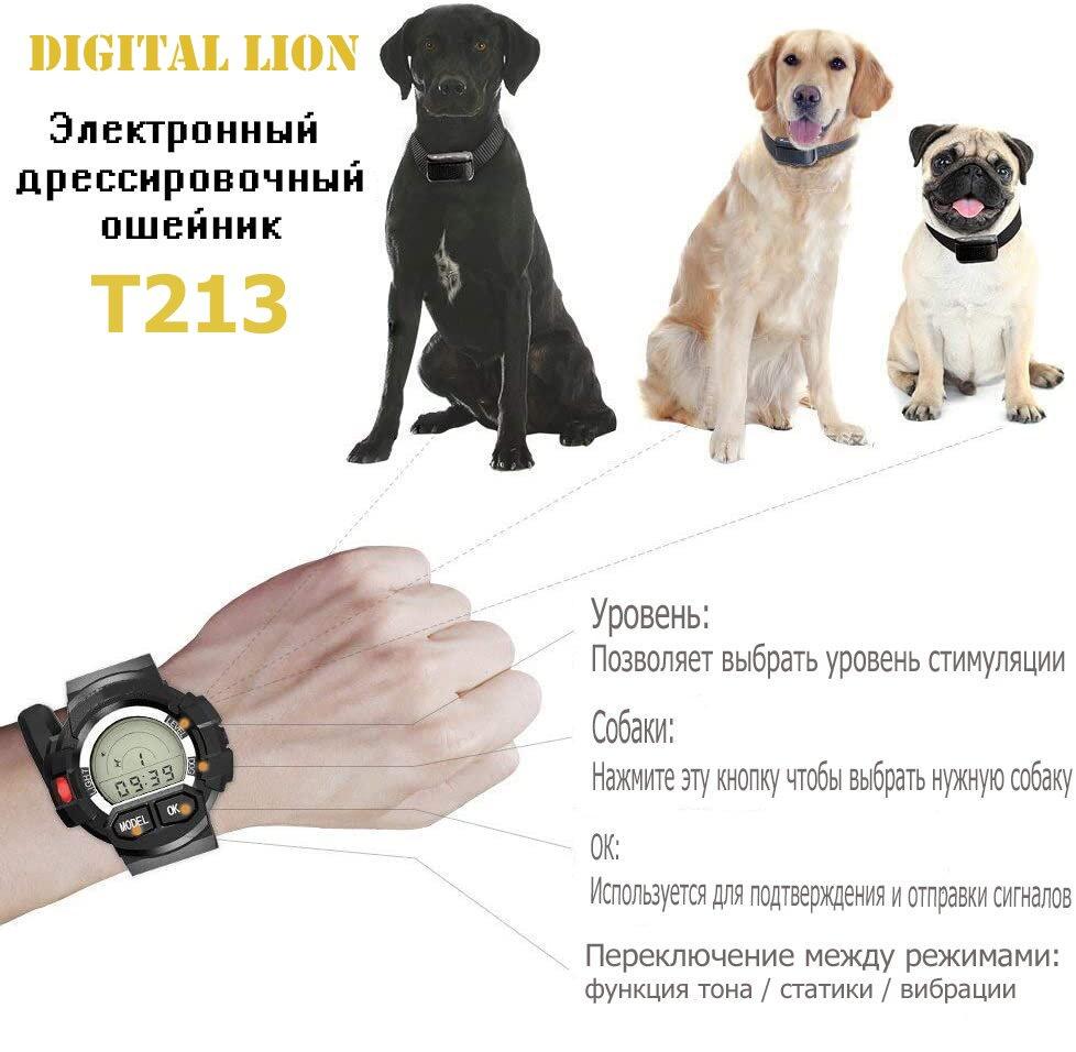 Часы с электроошейником Digital Lion T213 для дрессировки собак до 300 м - фото 5 Часы с электроошейником Digital Lion T213 для дрессировки собак до 300 м - фото 5