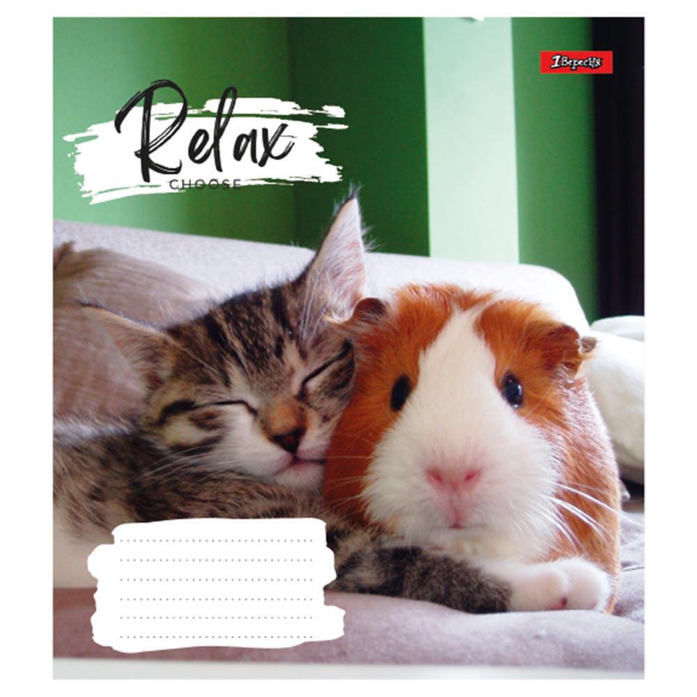 Тетрадь школьная 1Вересня Relax choose 18 листов клетка 25 шт. (766569)