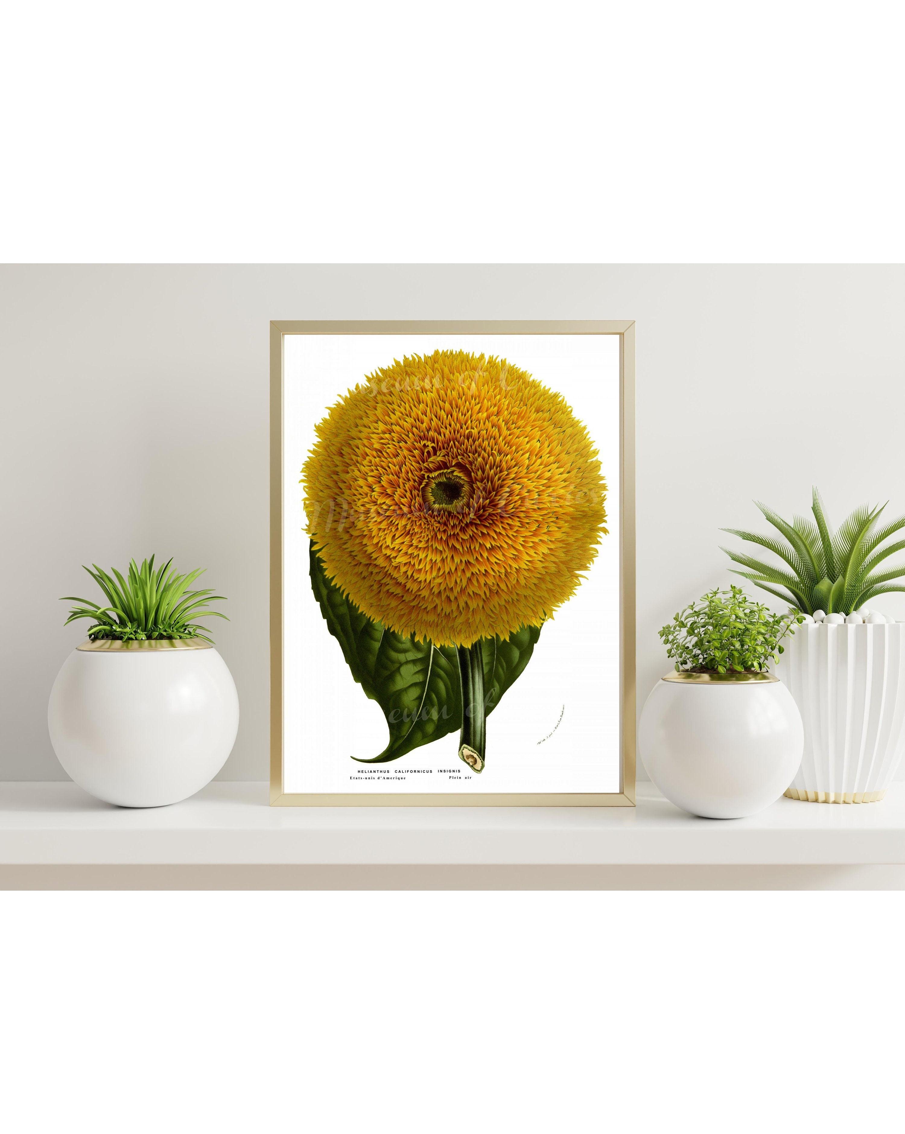 Плакат Amazon x003jfu9ev 40х30 см