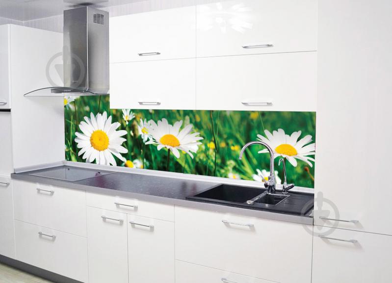 Наклейки кухонный фартук Zatarga "Солнечные ромашки" 600х2500 мм Зеленый (Z180273) Наклейки кухонный фартук Zatarga "Солнечные ромашки" 600х2500 мм Зеленый (Z180273)