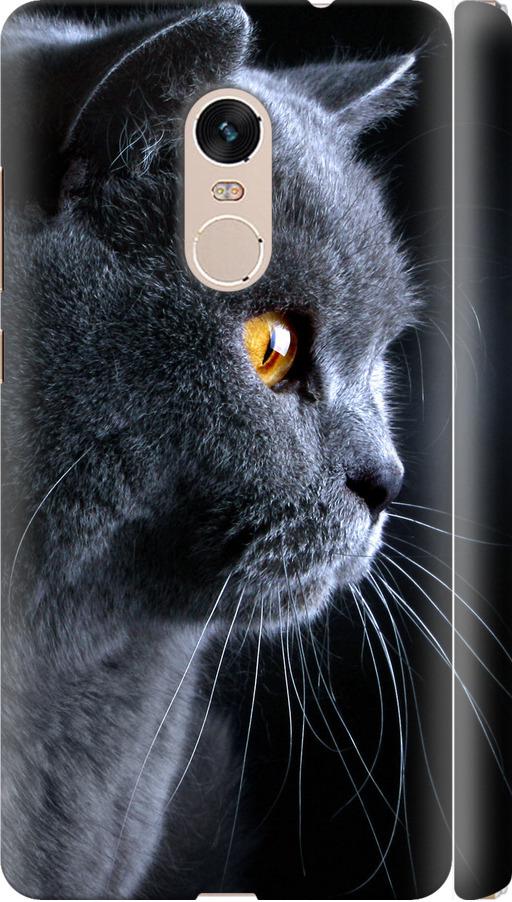 Чехол на Xiaomi Redmi Note 4 Красивый кот (3038m-352-42517)