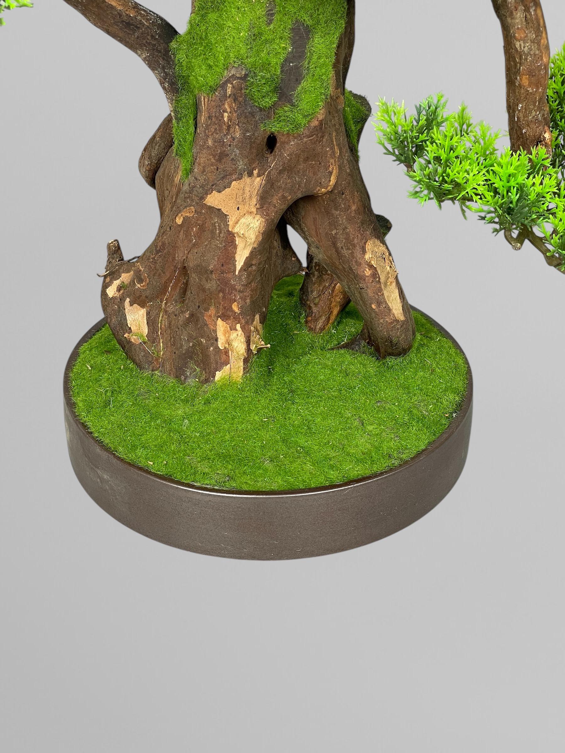 Бонсай 45 см Зеленый (Б009) - фото 6 Бонсай 45 см Зеленый (Б009) - фото 6