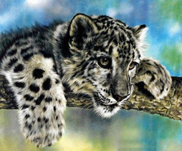 Картина по номерам Josef Otten Животные Снежный барс 40х50 см в термопакете (5597Y_O-mt)