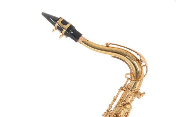 Саксофон Roy Benson TS-302 - фото 4