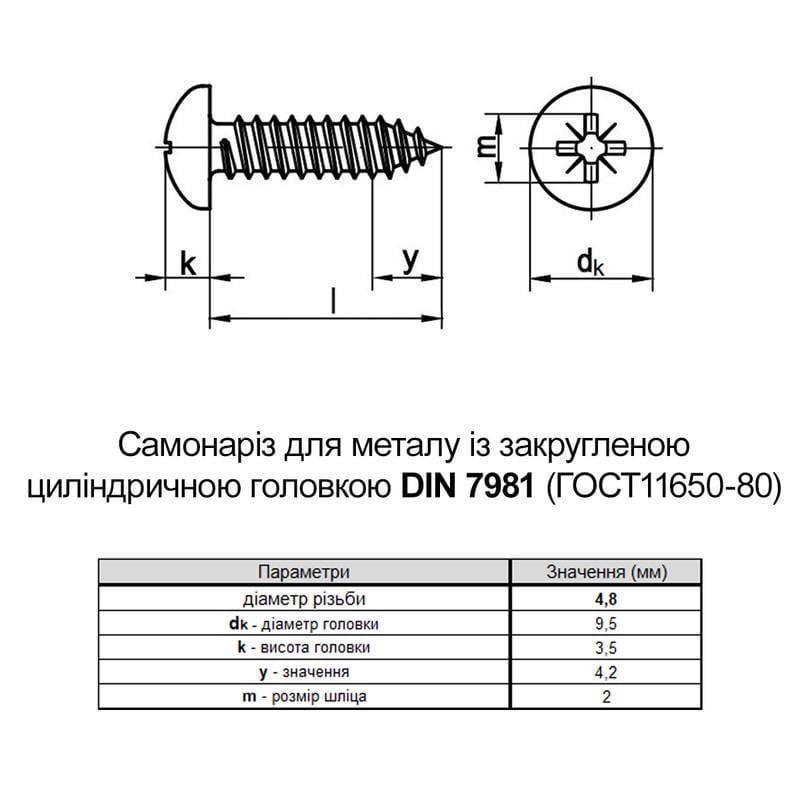 Саморез Metalvis DIN7981 4,8х25 PH2 цинк белый полная резьба полукруглая головка 1000 шт. (805200000805482520) - фото 2