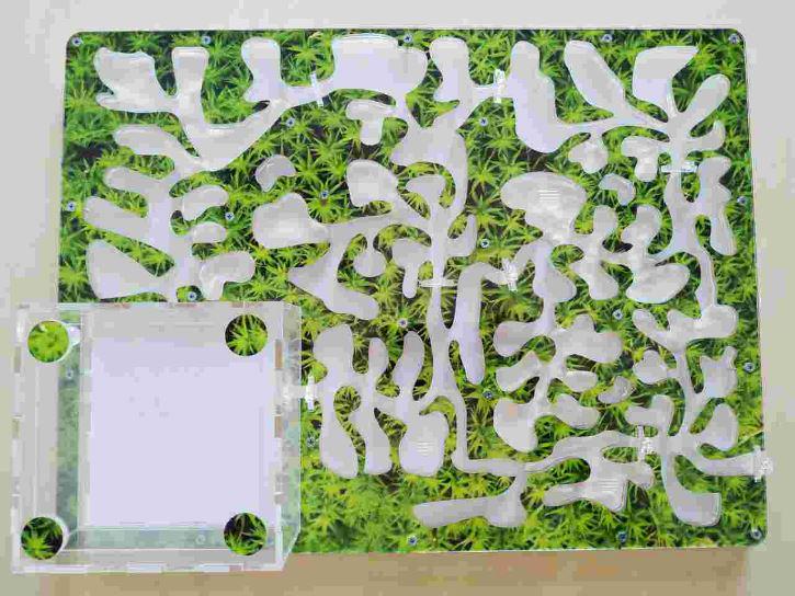 Муравьиная ферма AntTemple формикарий мега 30х40 см Зелень