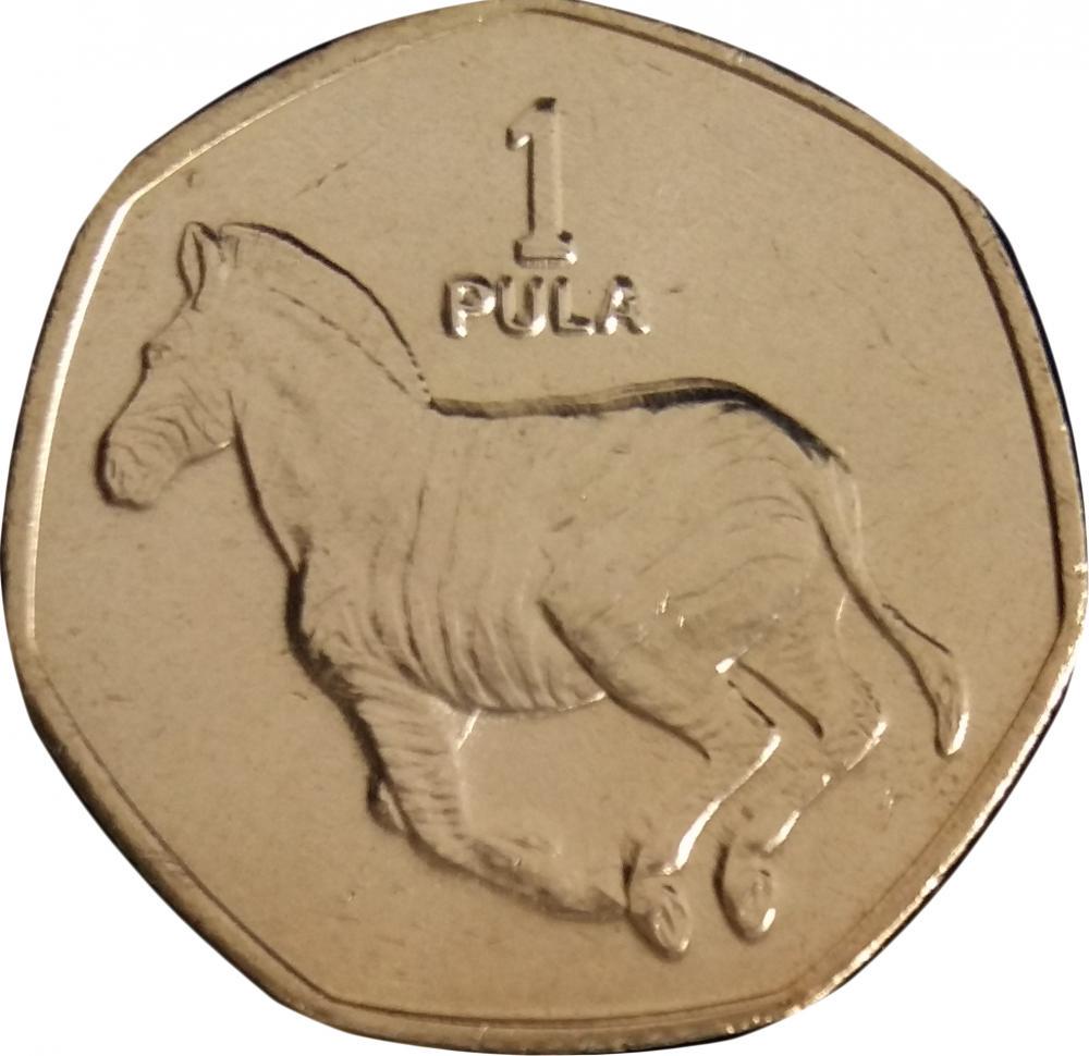 Коллекционная монета Ботсвана 1 пула 2007 UNC (KM#24)